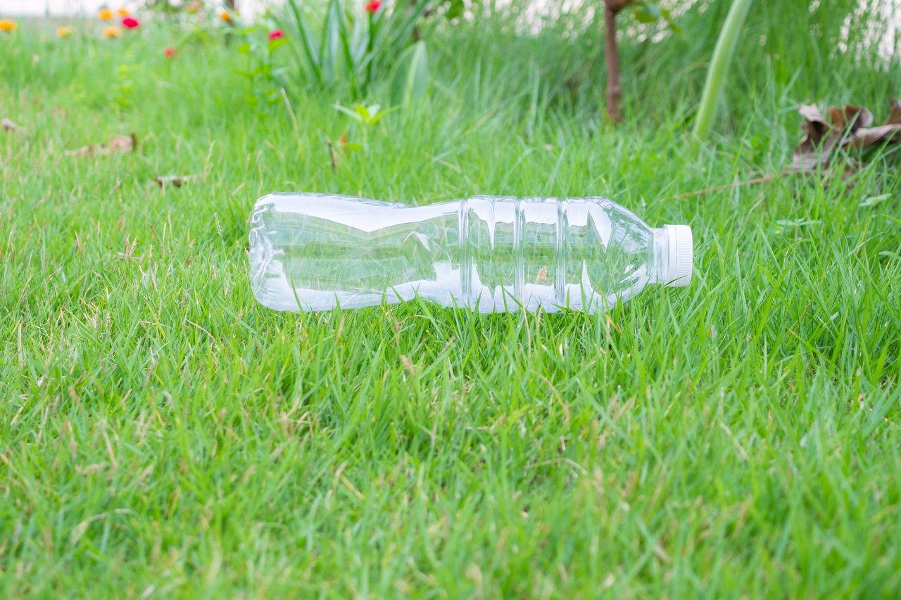 Effective garden ant control: The simple trap you can make at home