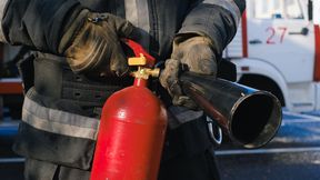 Skandal w Sejmie. Grzegorz Braun ukarany. Co sądzą bukmacherzy? Ciekawe typy