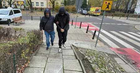 Poznawał kobiety, zamieszkiwał u nich, a później je okradał.