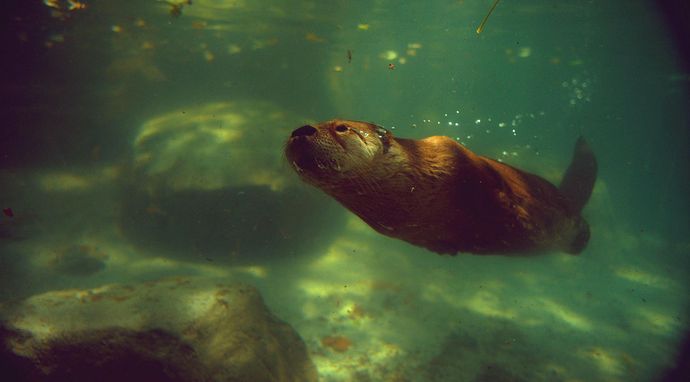 Uciec od cywilizacji