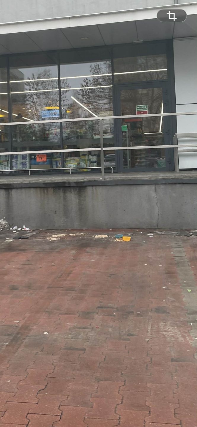 Miły gest. Ktoś pomyślał o kotach.