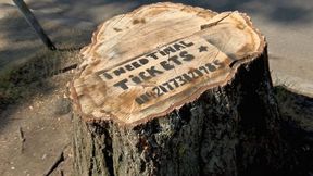 Pomysłowi kibice walczą o bilety. Ogłoszenia na... pniu drzewa