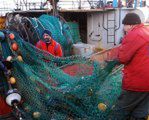 Unia zgadza się na pomoc dla polskich rybaków
