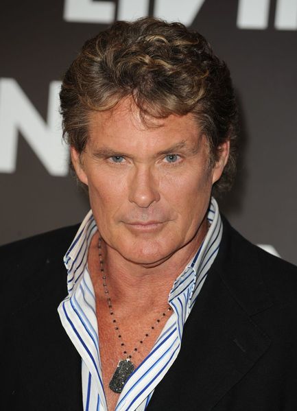 David Hasselhoff w psychiatryku!