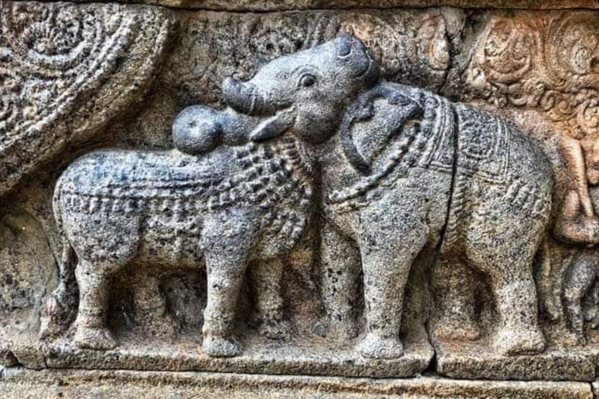 The 900-year-old optical illusion from India reveals your personality. Elephant or Bull?