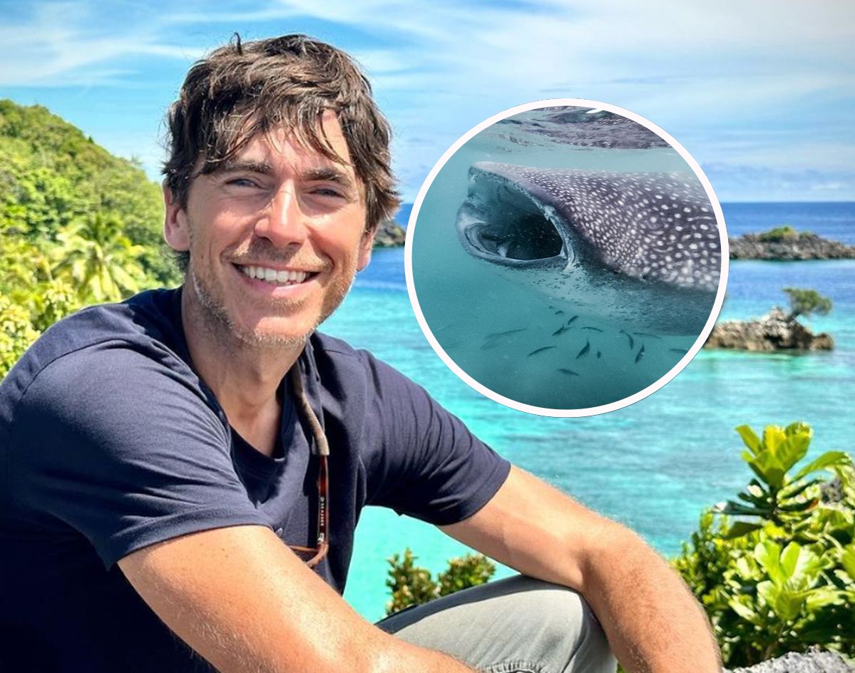 Simon Reeve ma bliznę po pływaniu z rekinami