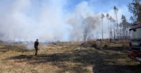 Wielki pożar lasu. W akcji samolot i helikopter