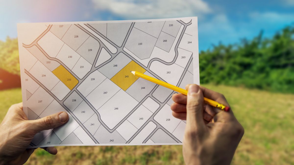 Przed zakupem działki budowlanej musimy dodatkowo sprawdzić, jak wygląda kwestia jej zadrzewienia i czy drzewa, które znajdują się na jej terenie, nie będą stanowić przeszkody w budowie