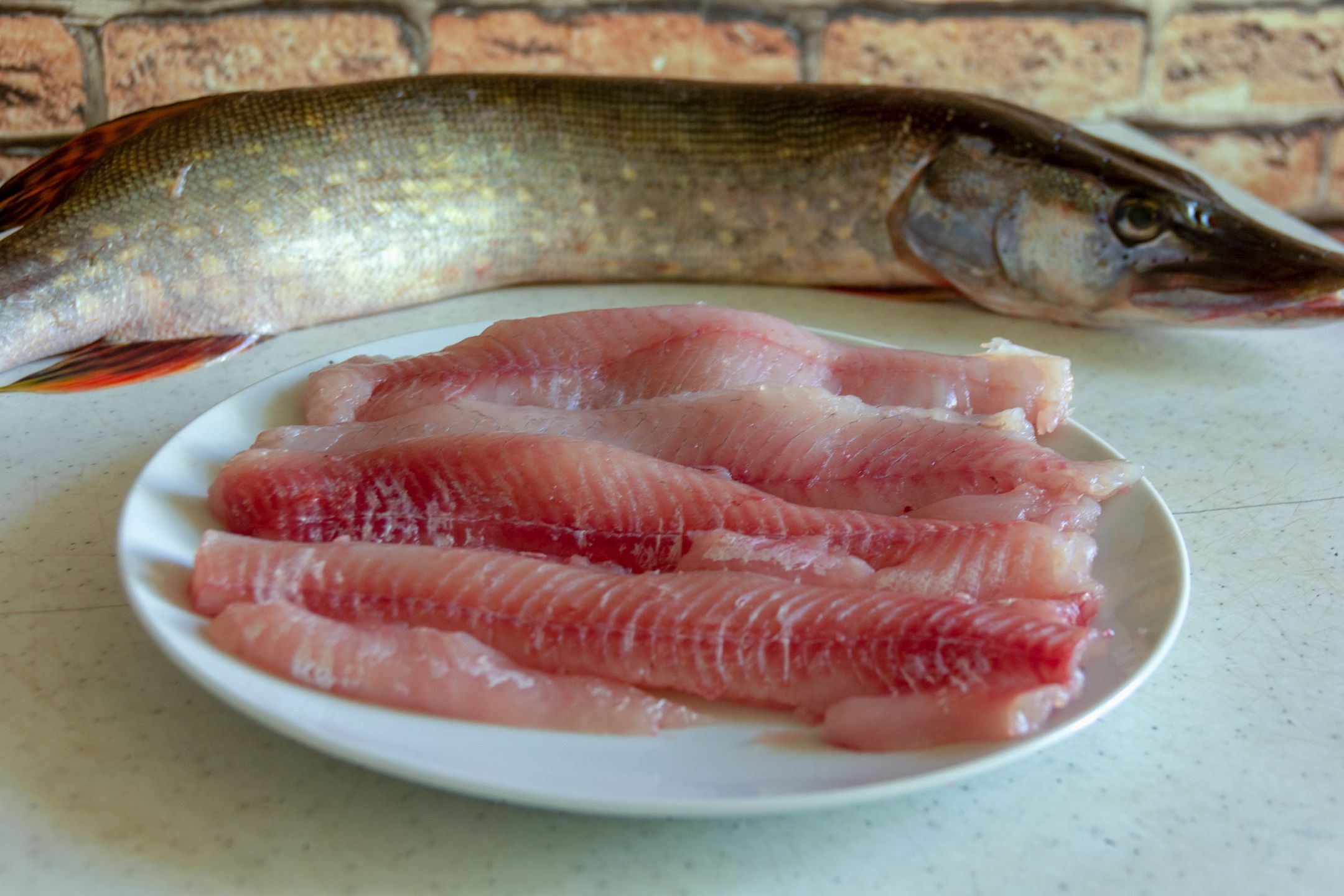 fresh pike fillet, in a plate in the kitchen, on the cutting table
fish, fillet, pike, fresh, white, background, healthy, food, perch, filleting, raw, kitchen, lake, close, up, diet, meal, wild, tasty, gourmet, dinner, cooking, cut, delicious, lunch