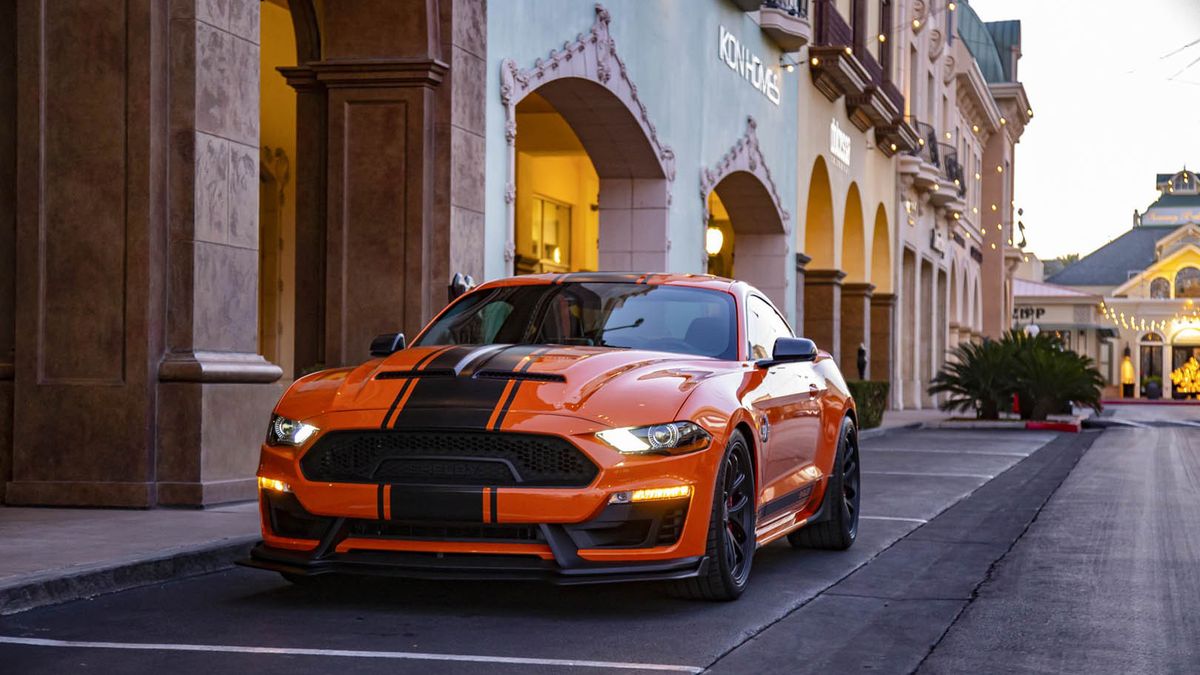 Czerń, zieleń lub pomarańcz to barwy zarezerwowane dla pakietu Bold.