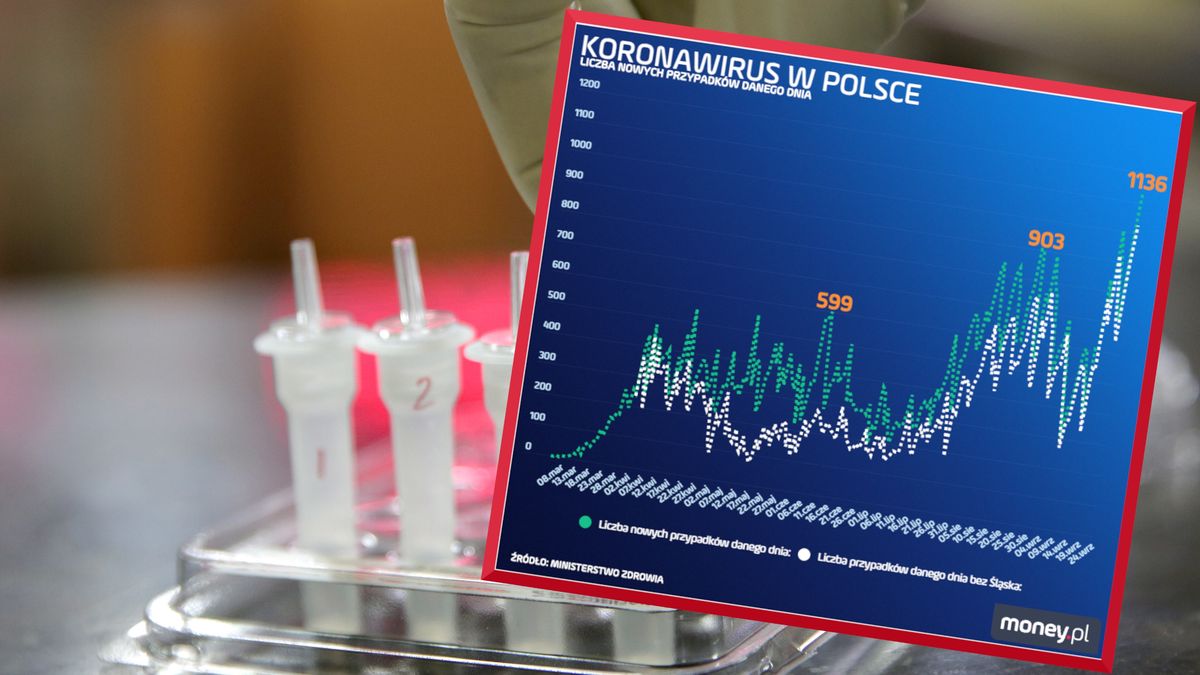 koronawirus w Polsce
