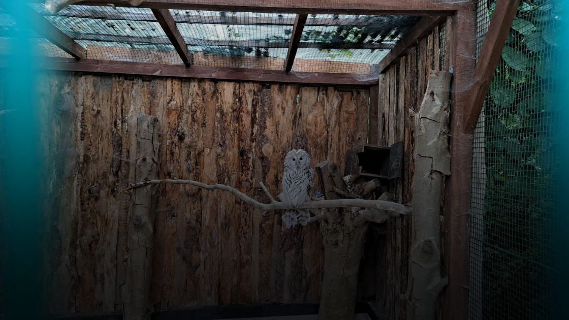 ZOO po zmroku