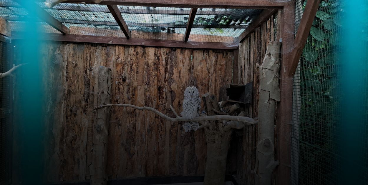 ZOO po zmroku - odkryj tajemnice płockiego ogrodu zoologicznego