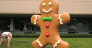 Wielki Gingerbread już stoi w Mountain View [wideo]