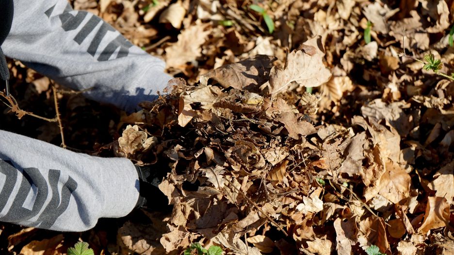 Pogoda. Susza w Polsce. Szansa na opady dopiero w weekend