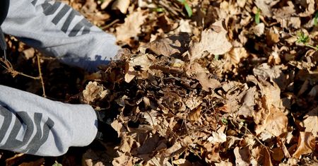 Pogoda. Susza w Polsce. Kiedy zacznie padać?
