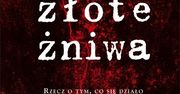 TNS OBOP: "Złote żniwa" nie zmieniły poglądów Polaków