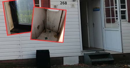 Mówią, jak traktuje się Polaków w Holandii. Ci "starsi mają problem"