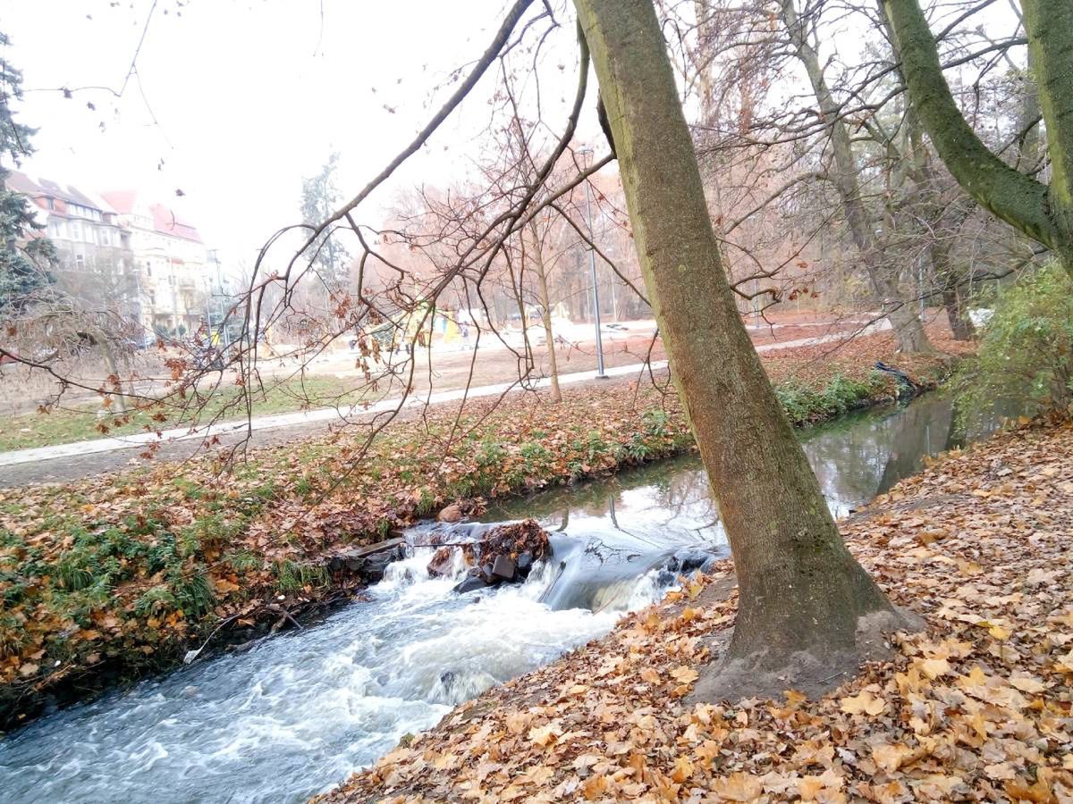 Gorzów: Czas posprzątać Kłodawkę. Czego to ludzie nie wyrzucają do rzeki!?