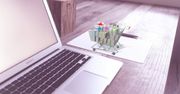 Milionowe zaległości e-handlu. Czy zakupy w sieci tracą popularność?