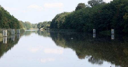 Z Odry wyłowiono 670 kg śniętych ryb. Pierwsze wyniki badań