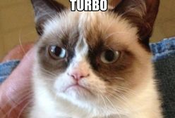 Najlepsze memy internetu