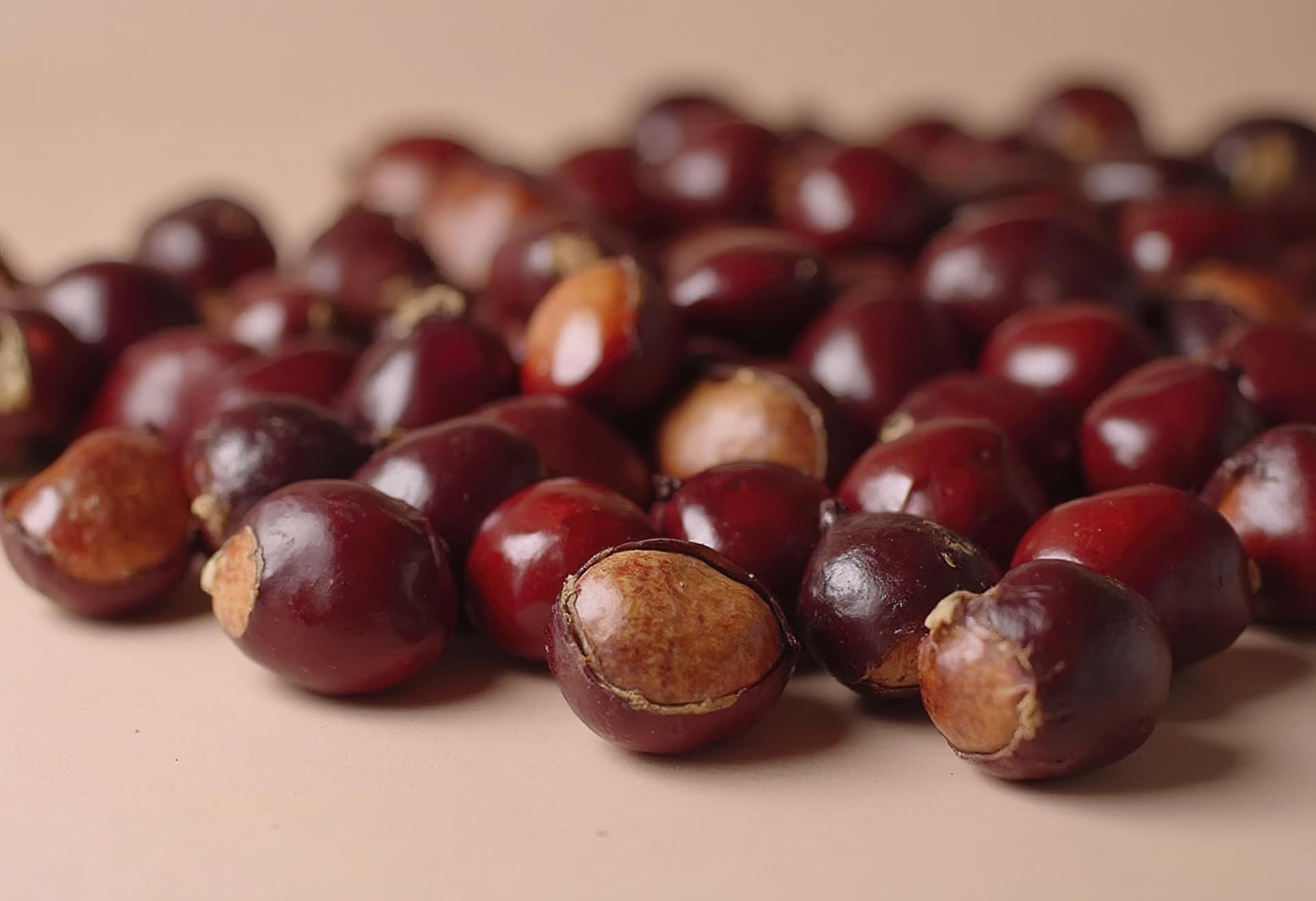 Guarana to roślina zasobna w substancję, która działa jak kofeina