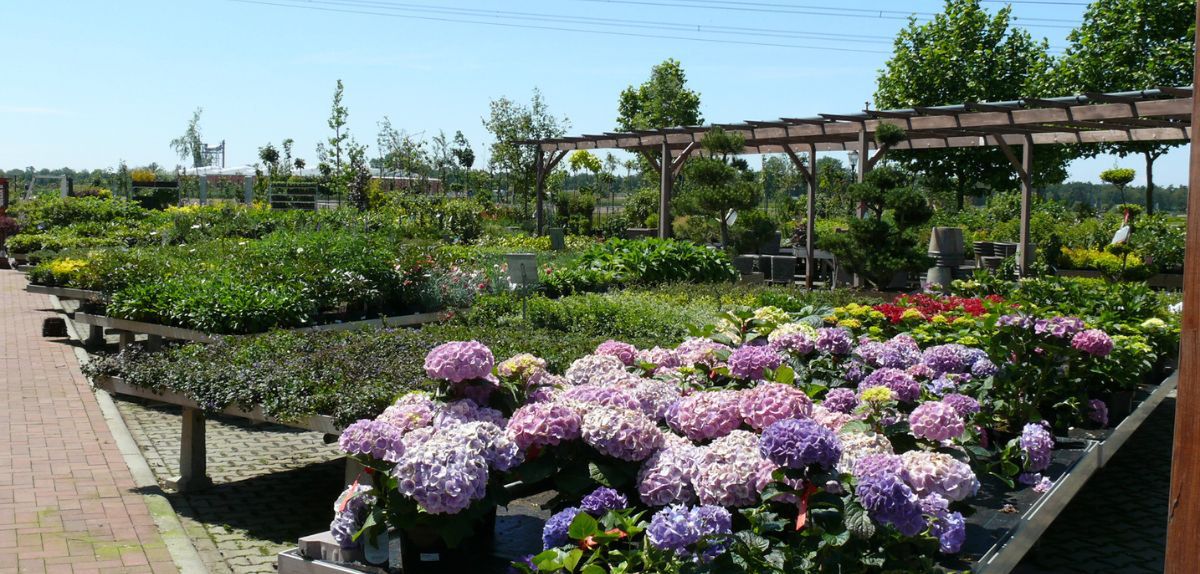 VAT od zakupu od rolnika ryczałtowego