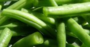 Surowa zielona fasolka