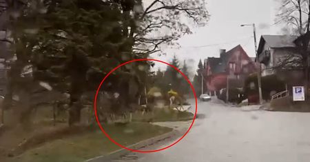 Jechali przez Szczawnicę, a tu nagle niespodzianka. "To dziewczyny są same?"