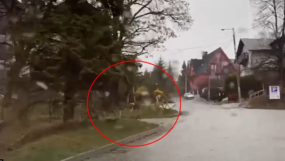 Wyjątkowe wideo wstawiła Helena Lubomirska - współwłaścicielka Uzdrowiska Szczawnica