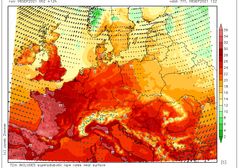 Pogoda na poniedziałek. Wyż nad Polską. W ciągu dnia mnóstwo słońca