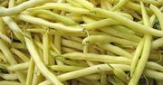Fasolka szparagowa - kalorie i rodzaje, właściwości, przygotowanie, ciekawostki