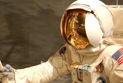 Co powinien umieć i jakie cechy posiadać pracownik przyszłości?