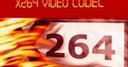 Piracka rewolucja. Umarł Xvid, niech żyje x264!