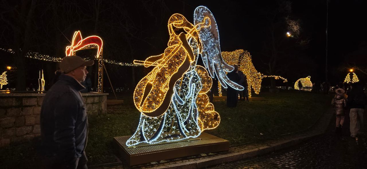 Płockie Ogrody Światła