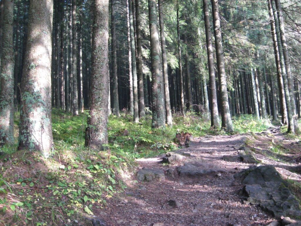 Dolina Małej Łąki