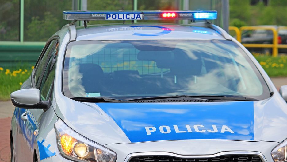 Bójka w parku w Bełchatowie. Policja zatrzymała uczestników