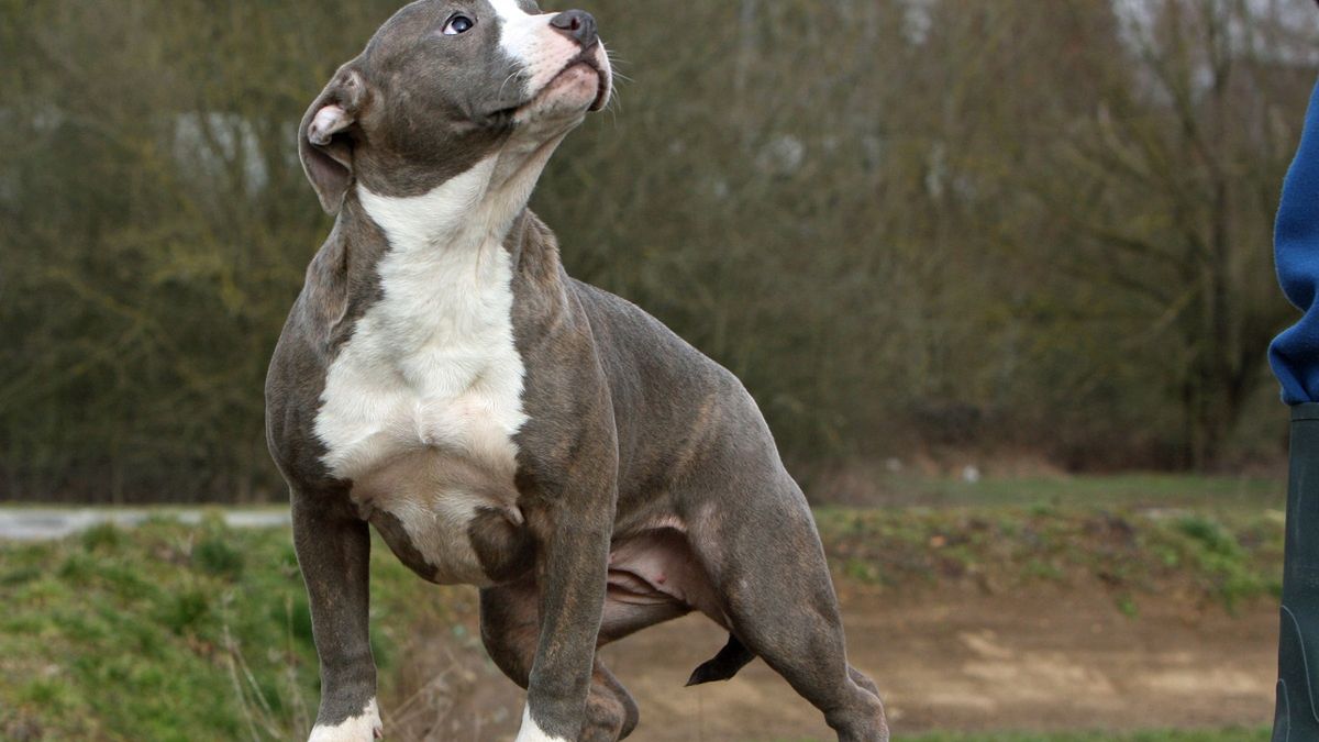 Zdjęcie ilustracyjne. 