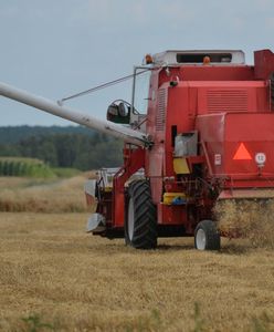 Na polu nie płaci się już za godzinę. Oto aktualne stawki za pracę