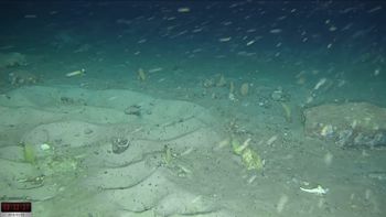 Odkryli je pod lodem. Naukowcy: to wyjątkowe znalezisko