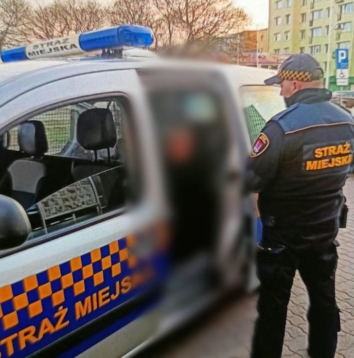 Zagubiona seniorka na ulicy Miodowej w Płocku. Pomogli jej strażnicy miejscy