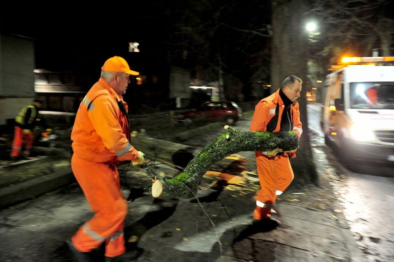 Usuwanie skutków wichury w Szczecinie