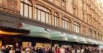 Jadowite węże w Harrodsie