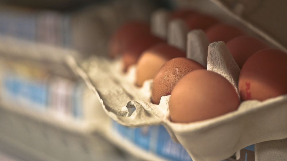 Ekotrolle walczą z restauracjami