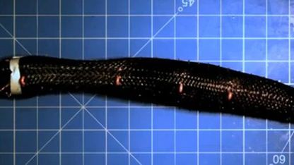 Meshworm - robotyczny robak z MIT 1