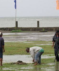 "Użyli cyjanku". Kraj oskarża Chińczyków