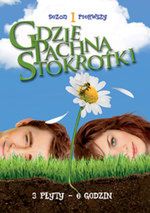 "Gdzie pachną stokrotki" na DVD. Serial, jakiego jeszcze nie było!