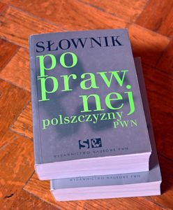 Polacy nie gęsi... Sprawdź, czy Rej byłby z Ciebie dumny [QUIZ]