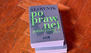 Polacy nie gęsi... Sprawdź, czy Rej byłby z Ciebie dumny [QUIZ]